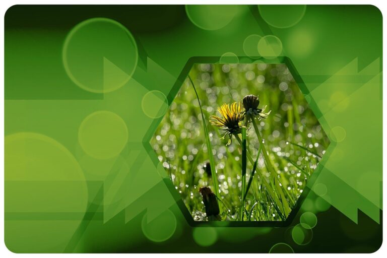 Förderprogramm „Klimaschutz“ für Alte Wache und Battenfeld nutzen